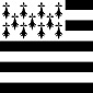 Бретонский флаг